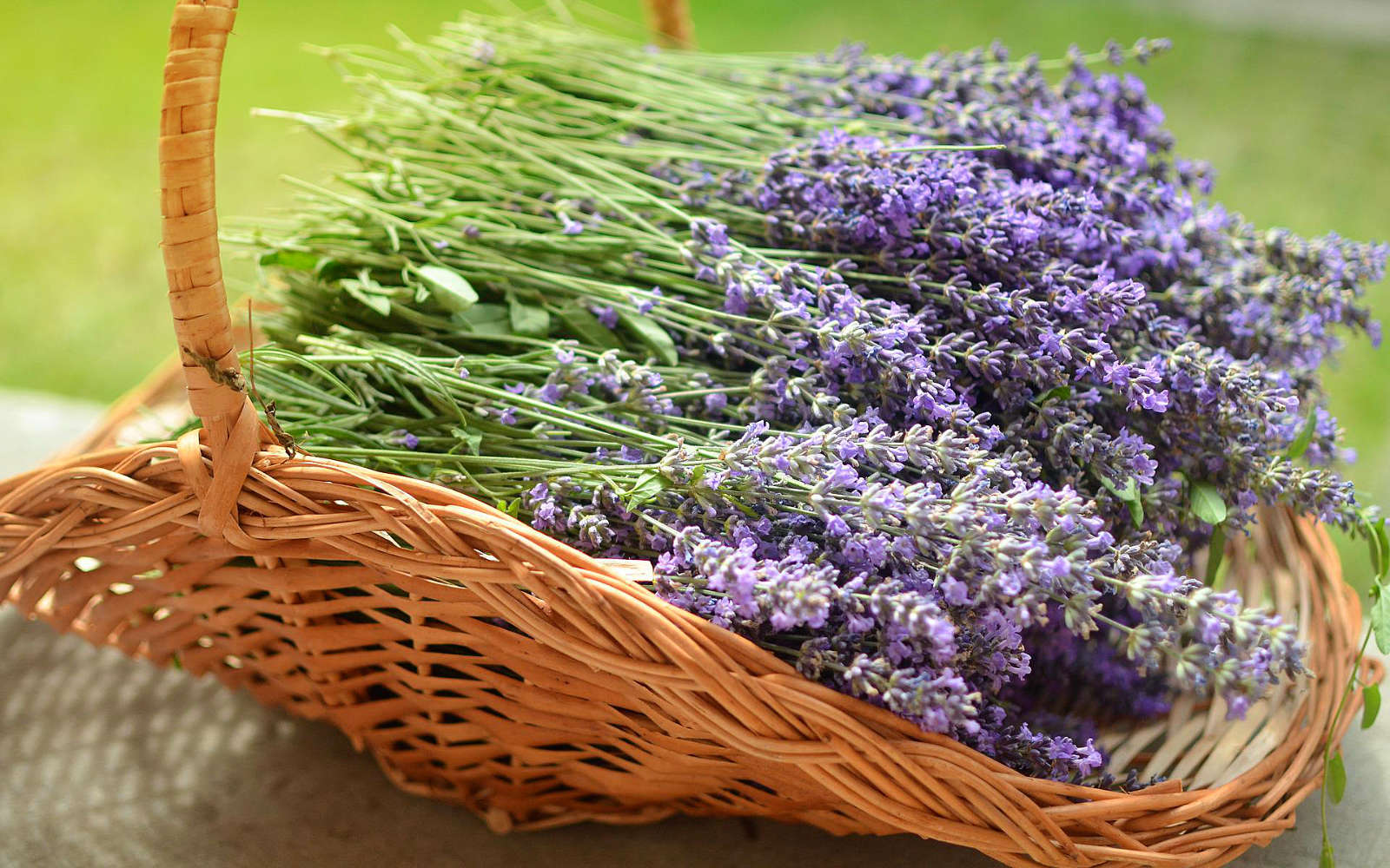 Využívejte aromaterapii ve své sauně